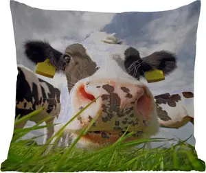Подушка для улицы - Корова - Ферма - Трава - Животные - 40x40 см - Устойчива к погодным условиям - Подушка для отдыха - Подушка - Для интерьера - Обивка с изображением MuchoWow