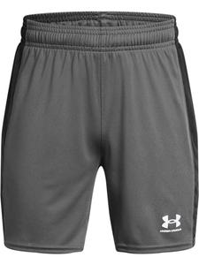 Шорты Under Armour, серый