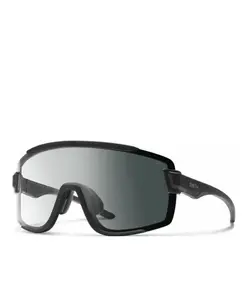 Солнцезащитные очки Wildcat Smith, черный