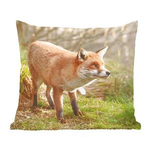 Декоративная подушка MuchoWow диванная подушка для гостиной декоративная подушка 50 x 50 см лиса - лес - свет - чехлы на подушки - украшение - спальня