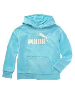 Толстовка с капюшоном из флиса PUMA Foundations Puma, синий