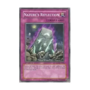 CCG Отражение природы (Общее), Yu-Gi-Oh - Absolute Powerforce - Singles