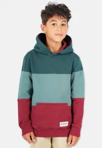 Толстовка с капюшоном в стиле 3c block Band Of Rascals, Racing Green/Bordeaux