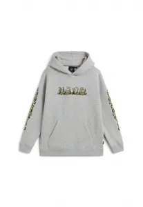 Толстовка с капюшоном Vans, Dark Grey