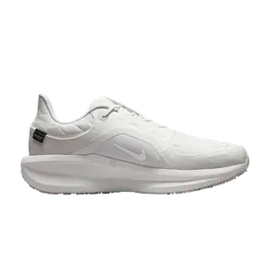 Кроссовки Nike Winflo 11 GORE-TEX 'White Photon Dust'