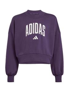 Спортивная толстовка ADIDAS SPORTSWEAR, темно-фиолетовый
