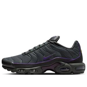 Кроссовки Nike Air Max Plus 'Iron Grey Wild Grape'