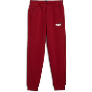 Брюки Hose ess 2 col logo pants fl Puma, красный