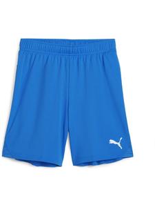 Спортивные шорты TeamGoal Shorts Jr синего цвета Puma