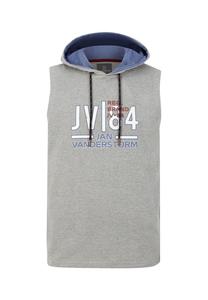 Толстовка lewi Jan Vanderstorm, серый