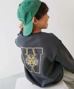 Толстовка с флисовой подкладкой и принтом «Дьявольская лаборатория» в форме квадрата, коллекция осень-зима 2025 Devirock, цвет 013-Trans Micro