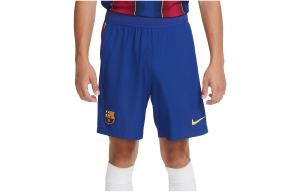 Мужские футбольные шорты Nike, цвет Blue