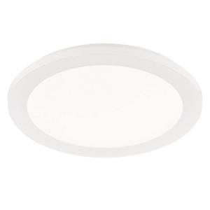 Светодиодный потолочный светильник Reality Leuchten Camillus VI, акриловое стекло - 1 пламя