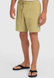 Оригинальные шорты O'Neill, Oak Ridge