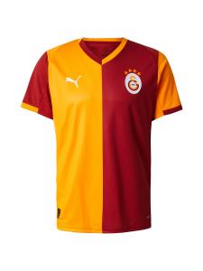 Джерси PUMA Galatasaray SK 25/26, Orange/Carmine red