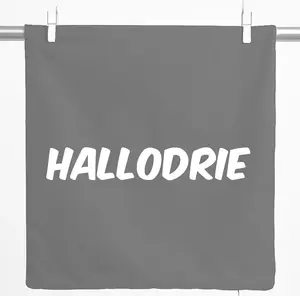 Декоративная наволочка Huuraa с надписью Hallodrie, подарочная, 40x40 см, стальной серый хлопок, украшение Hallodrie Hellweg Druckerei