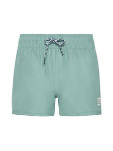 Плавки Protest  PRTTAYLOR JR, цвет Green Baygreen