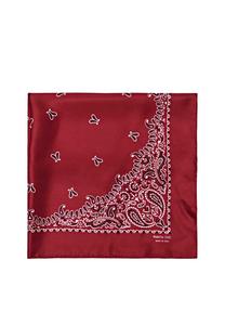 Шарф Massimo Dutti PAISLEY PRINT, Red