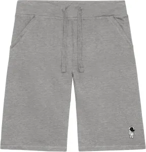 Мужские шорты DALIX Astronaut с вышивкой, мягкий флис, свободный крой