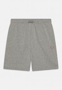 Шорты YOUTH MAPLETON UNISEX Dickies, цвет heather gray