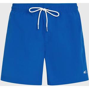 Рубашка верт 16'' плавки O'Neill, цвет victoria blue