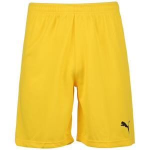 Тренировочные брюки Puma TEAMRISE, желтый