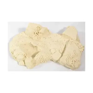 Пол пещеры пришельцев, Models (Unidentifiable Publisher)