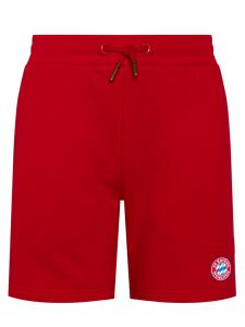 Обычные брюки FC BAYERN MÜNCHEN Essential, красный