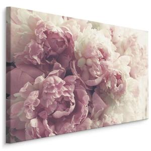 Картина на холсте Muralo Blumen Pfingstrosen Natur, 30x20x20 см цвет beige/hellrosa/weiß