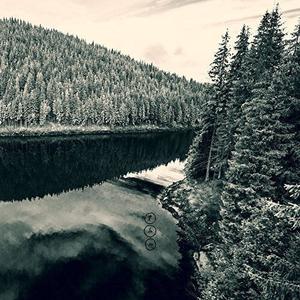 CD диск Negura Bunget: Tau