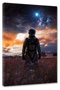 Картина на холсте Hustling Sharks CHEERS #2, оранжевый