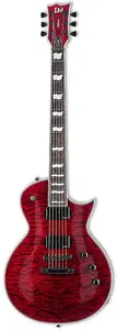 ESP LTD EC-1000 Видимый черный вишневый