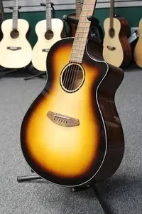Акустико-электрогитара Breedlove Discovery Dreadnought