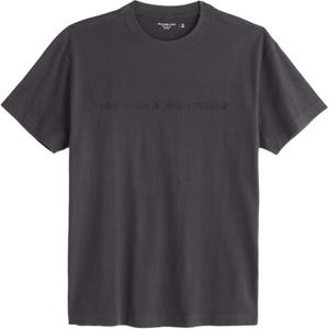 Футболка мужская темно-серая Abercrombie＆Fitch, темно-серый