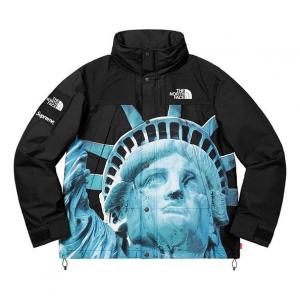 Куртка Supreme FW19 Week 10 x The North Face Statue of Liberty Mountain Jacket Black SUP-FW19-905, черный