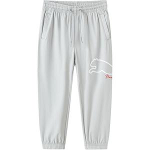 GS Брюки Puma, цвет Morning ash