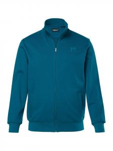 Толстовка цвета лагуны Men Plus