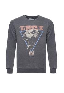 Свитшот Jurassic Park T-Rex 1993 с крутым принтом Jurassic Park Re:Covered, серый