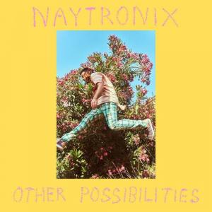 Аудиокассета Naytronix: Other Possibilities