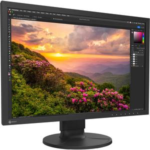 Монитор EIZO ColorEdge CS2400S 24,1 дюйма