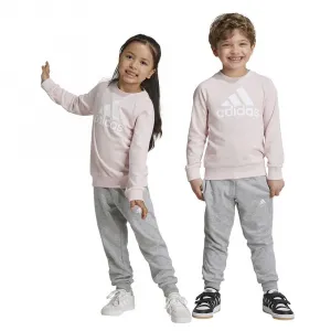 Комплект adidas Essentials Logo French Terry, серый