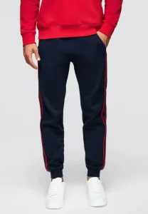 Спортивные штаны-джоггеры в полоску Ombre, Navy Blue