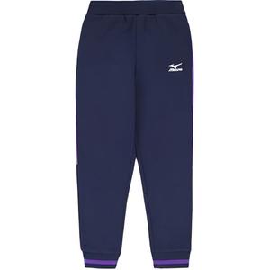 Детские спортивные штаны осень-зима Mizuno, синий