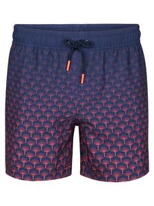Petrol Industries Шорты для серфинга 'Surfpoint' в синем цвете