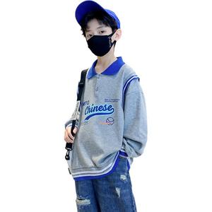 Детский свитшот с воротником-поло EASTERN CAMEL, серый