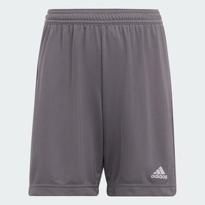Спортивные шорты Adidas Entrada 22 Shorts, цвет Team Grey Four