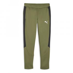 Спортивные брюки Puma Evostripe Dk, зеленый