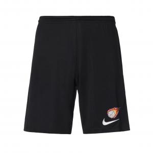 Nike Мужские повседневные шорты Dri Fit черные