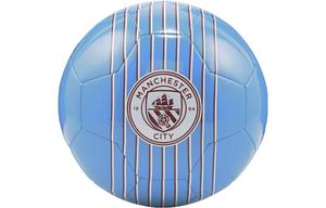 PUMA Размер 5 Размер 4 футбольный мяч Soccer TPU машинной строчки Unisex Light Blue