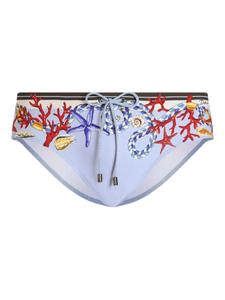 Dolce & Gabbana плавки с принтом, синий